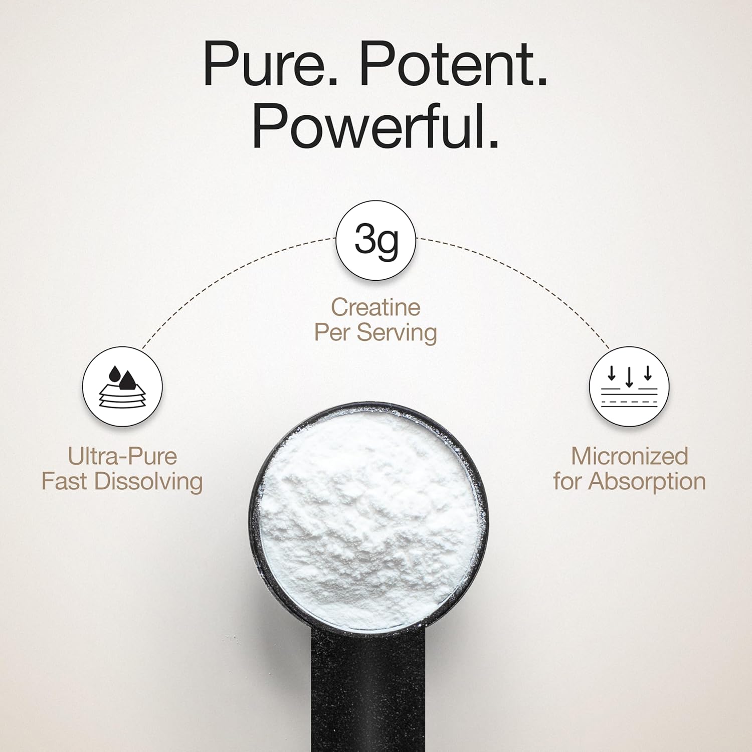 Wellbeing Nutrition Micronized Creatine Monohydrate (100g) | Svesto Verified
