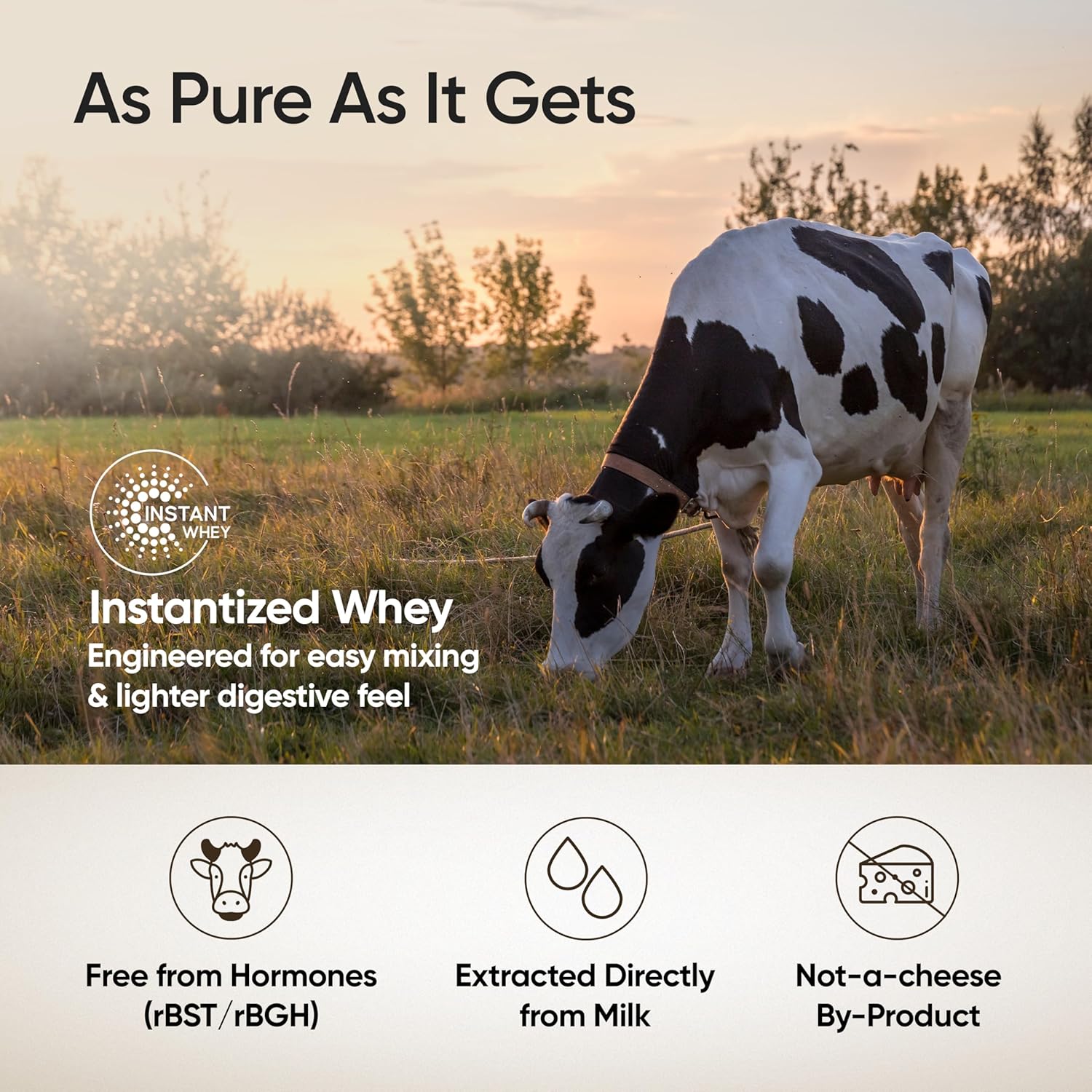 Wellbeing Nutrition Clean Whey Protein Concentrate | Unflavoured (1kg) | Svesto Verified