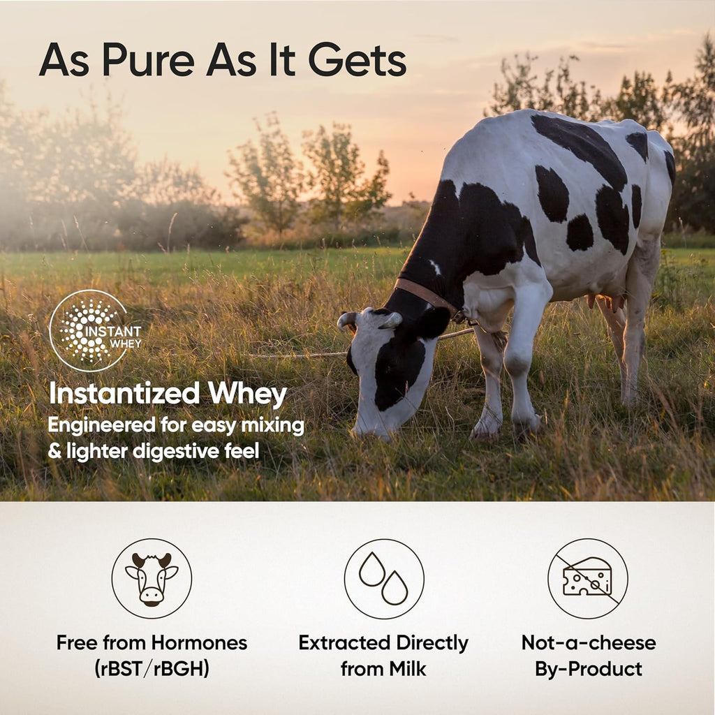 Wellbeing Nutrition Whey Protein Isolate + Concentrate | 1kg | Cappuccino | Svesto Verified
